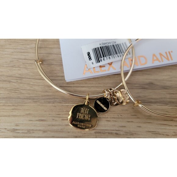 Alex and Ani Best Friends Burger & Fries Charm Bangle Set – NWT Boxed Gift - Picture 4 of 6